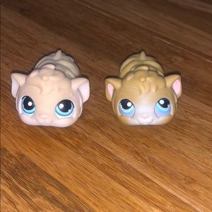Hamster LPS